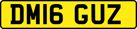 DM16GUZ