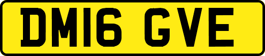 DM16GVE