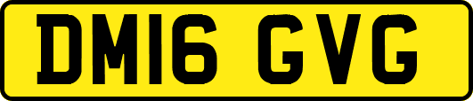 DM16GVG