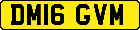 DM16GVM