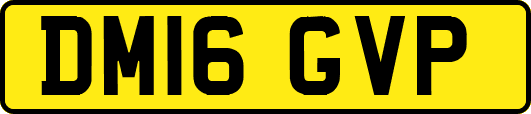 DM16GVP