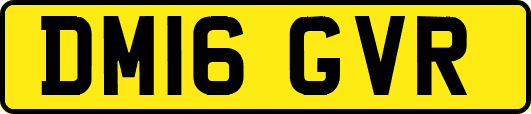 DM16GVR
