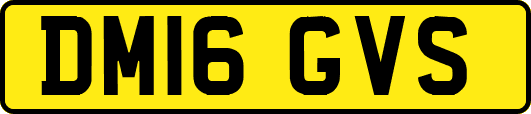 DM16GVS