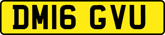 DM16GVU
