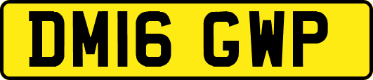 DM16GWP