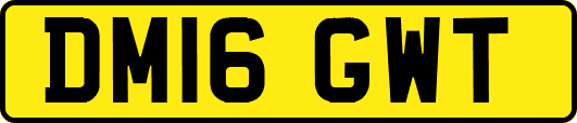 DM16GWT