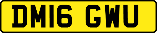 DM16GWU