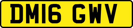 DM16GWV