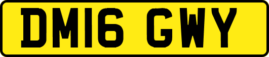 DM16GWY