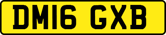 DM16GXB