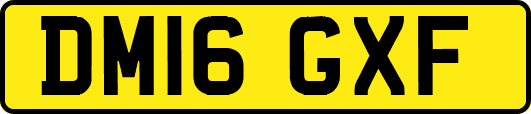 DM16GXF