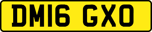 DM16GXO