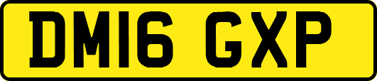 DM16GXP