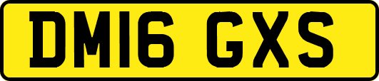 DM16GXS