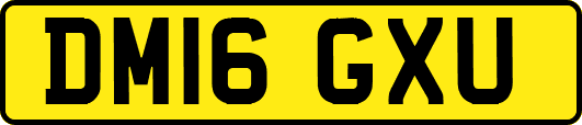 DM16GXU