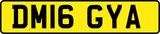 DM16GYA