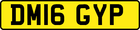 DM16GYP