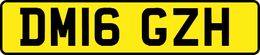 DM16GZH