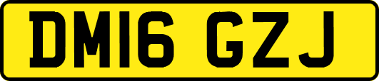 DM16GZJ