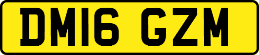 DM16GZM