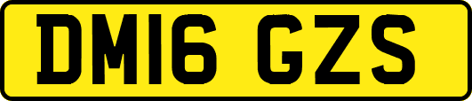 DM16GZS
