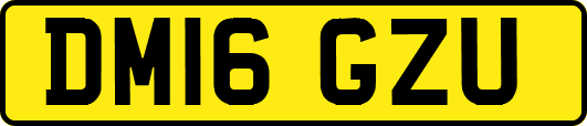 DM16GZU