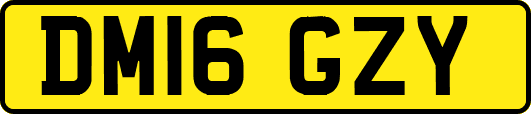 DM16GZY