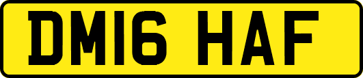 DM16HAF
