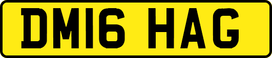 DM16HAG