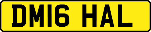 DM16HAL
