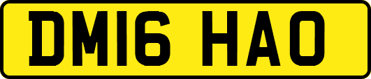 DM16HAO