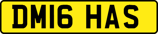 DM16HAS