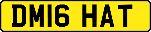 DM16HAT