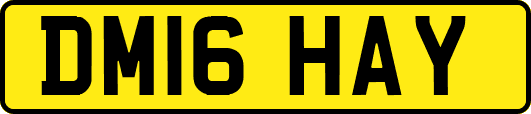 DM16HAY