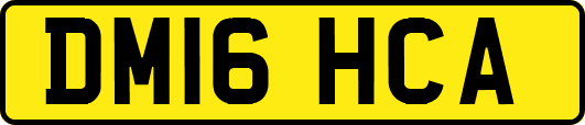 DM16HCA