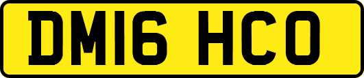 DM16HCO