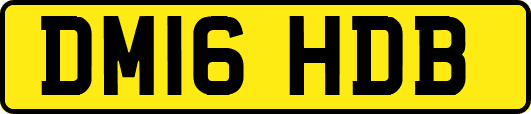 DM16HDB