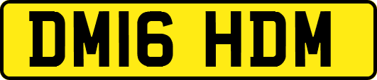 DM16HDM