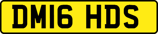 DM16HDS