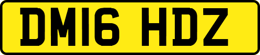 DM16HDZ