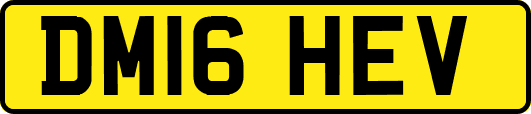 DM16HEV