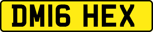 DM16HEX