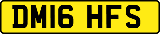 DM16HFS