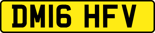 DM16HFV