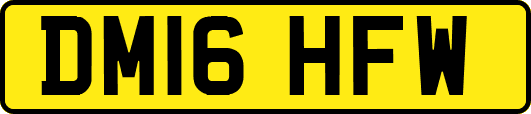 DM16HFW
