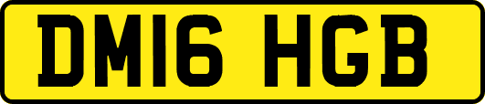 DM16HGB
