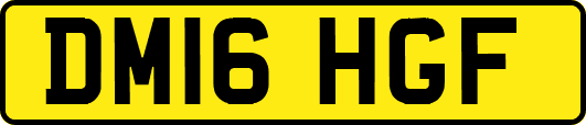 DM16HGF