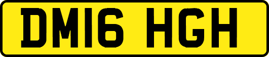 DM16HGH