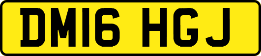 DM16HGJ