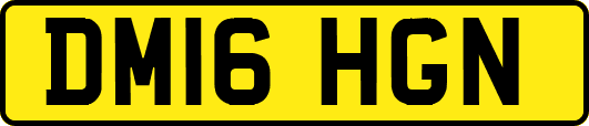 DM16HGN